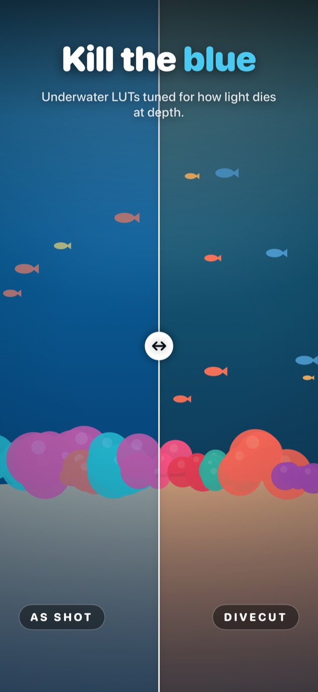 A before and after split of the underwater color grade, the left half As Shot in flat blue, the right half DiveCut with red and warmth restored and the seabed reading brown instead of grey